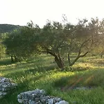 Lavanda